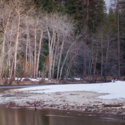 a stunning lake view